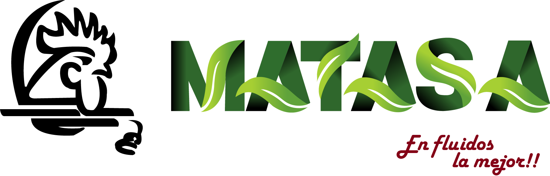 Logo MATASA